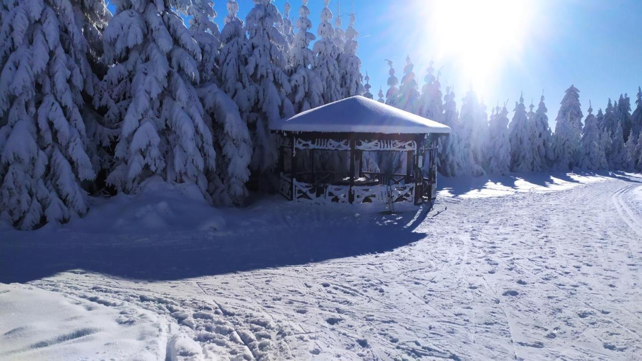 Chata Helena Loučná pod Klínovcem Extérieur photo